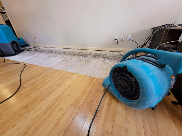 Professional Water Damage Repair technician working in Ogden, UT